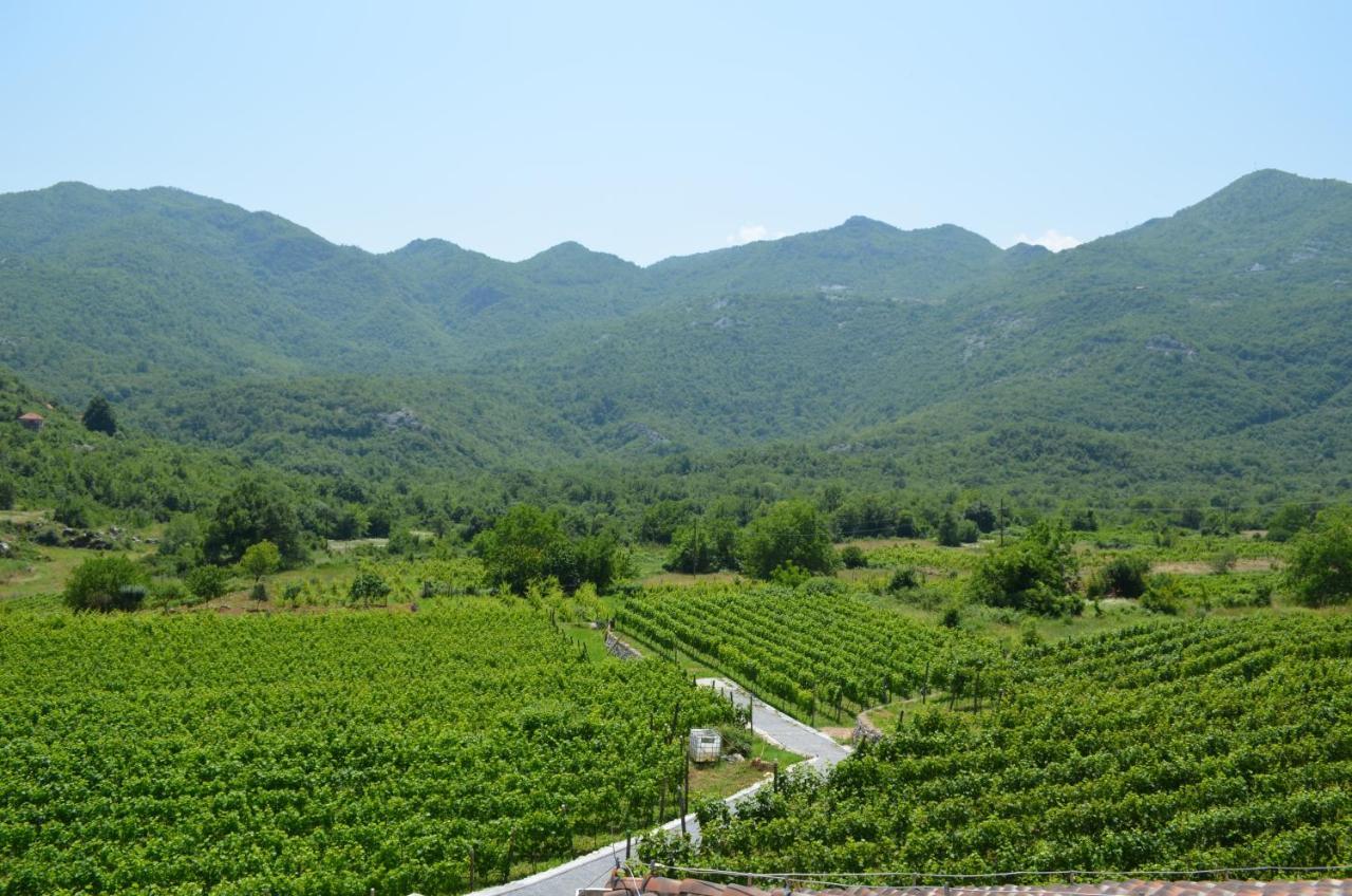סטינג'ה Markovic Winery And Estate Apartments מראה חיצוני תמונה