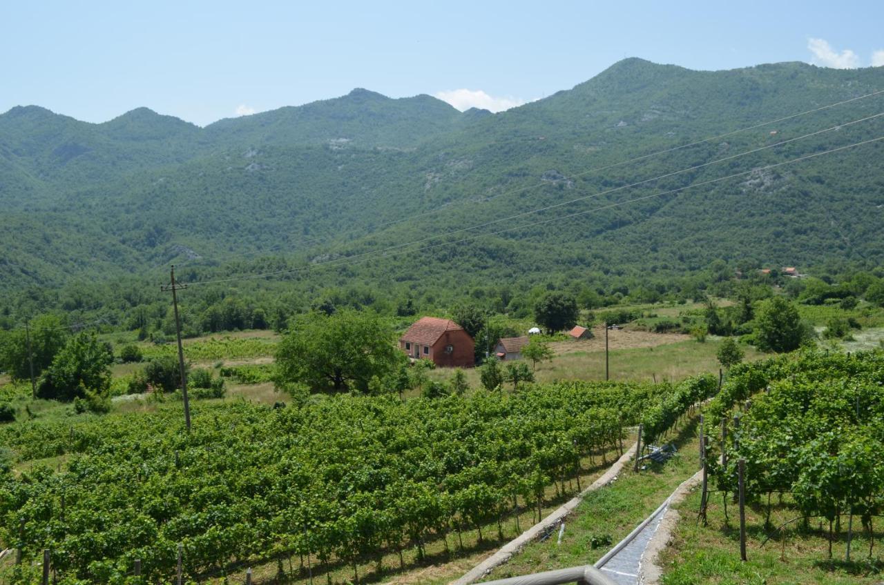סטינג'ה Markovic Winery And Estate Apartments מראה חיצוני תמונה